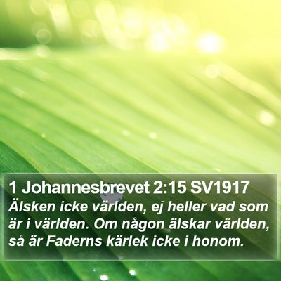 1 Johannesbrevet 2:15 SV1917 Bible Verse Image