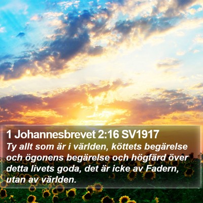 1 Johannesbrevet 2:16 SV1917 Bible Verse Image
