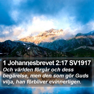 1 Johannesbrevet 2:17 SV1917 Bible Verse Image