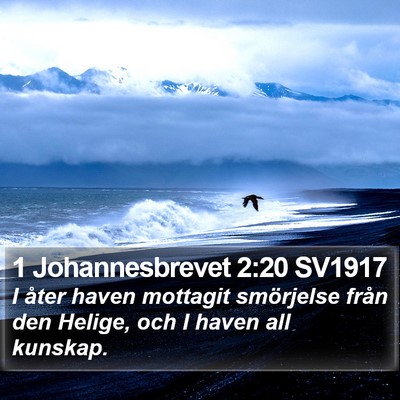1 Johannesbrevet 2:20 SV1917 Bible Verse Image