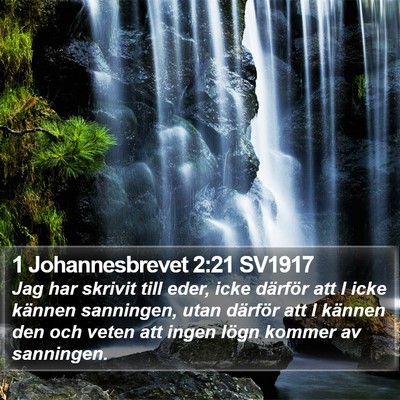 1 Johannesbrevet 2:21 SV1917 Bible Verse Image