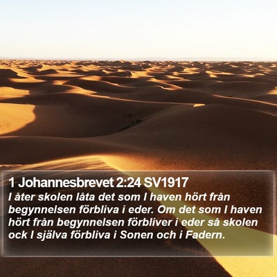 1 Johannesbrevet 2:24 SV1917 Bible Verse Image