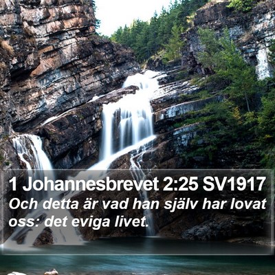 1 Johannesbrevet 2:25 SV1917 Bible Verse Image