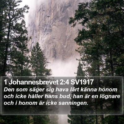 1 Johannesbrevet 2:4 SV1917 Bible Verse Image
