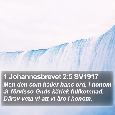 1 Johannesbrevet 2:5 SV1917 Bible Verse Image