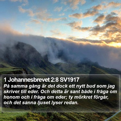 1 Johannesbrevet 2:8 SV1917 Bible Verse Image