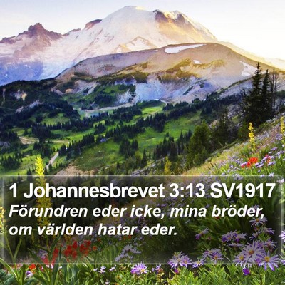 1 Johannesbrevet 3:13 SV1917 Bible Verse Image