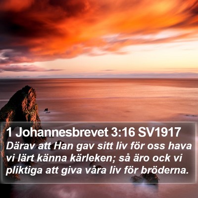 1 Johannesbrevet 3:16 SV1917 Bible Verse Image