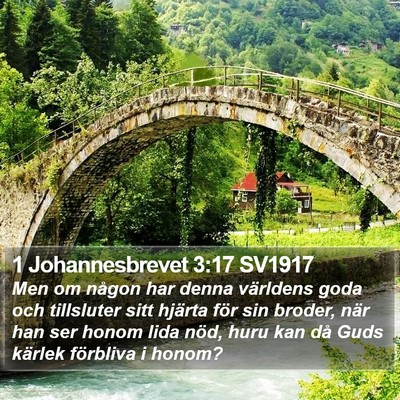 1 Johannesbrevet 3:17 SV1917 Bible Verse Image