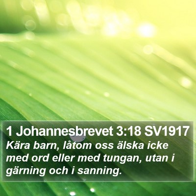 1 Johannesbrevet 3:18 SV1917 Bible Verse Image