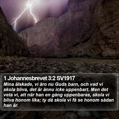 1 Johannesbrevet 3:2 SV1917 Bible Verse Image