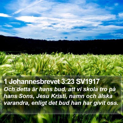 1 Johannesbrevet 3:23 SV1917 Bible Verse Image