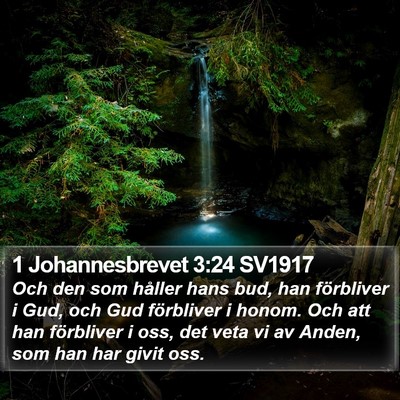1 Johannesbrevet 3:24 SV1917 Bible Verse Image
