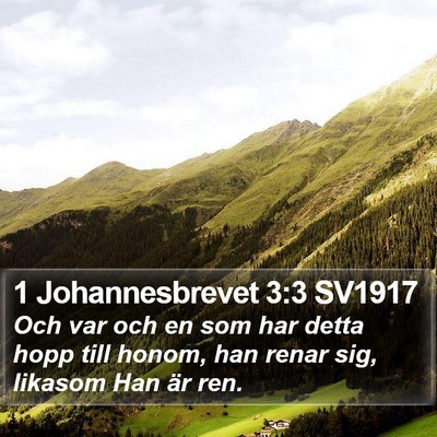 1 Johannesbrevet 3:3 SV1917 Bible Verse Image