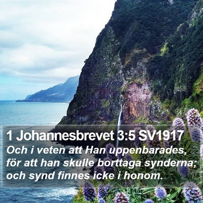 1 Johannesbrevet 3:5 SV1917 Bible Verse Image