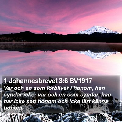 1 Johannesbrevet 3:6 SV1917 Bible Verse Image