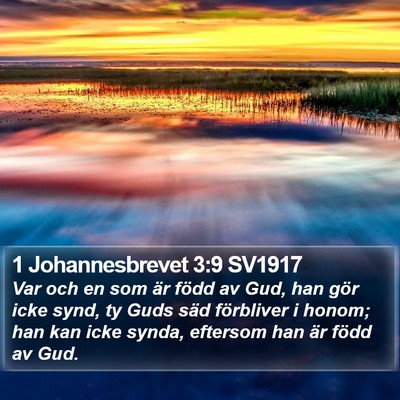 1 Johannesbrevet 3:9 SV1917 Bible Verse Image