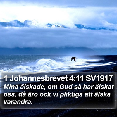 1 Johannesbrevet 4:11 SV1917 Bible Verse Image