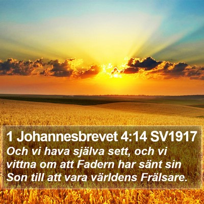 1 Johannesbrevet 4:14 SV1917 Bible Verse Image