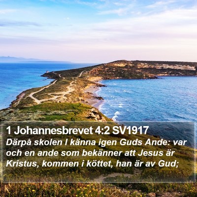 1 Johannesbrevet 4:2 SV1917 Bible Verse Image