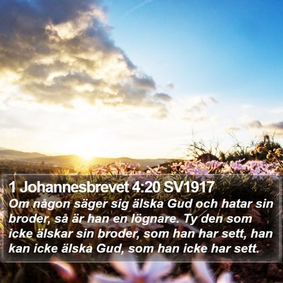 1 Johannesbrevet 4:20 SV1917 Bible Verse Image