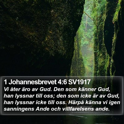1 Johannesbrevet 4:6 SV1917 Bible Verse Image