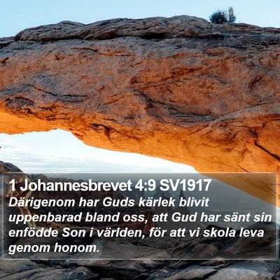 1 Johannesbrevet 4:9 SV1917 Bible Verse Image