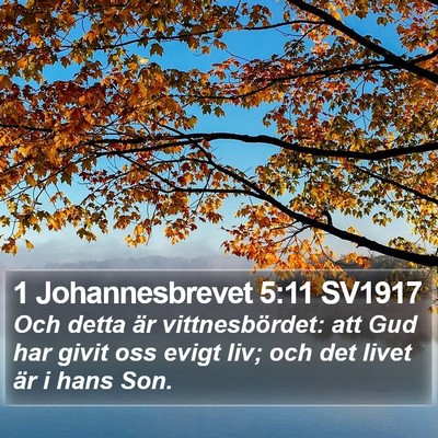 1 Johannesbrevet 5:11 SV1917 Bible Verse Image