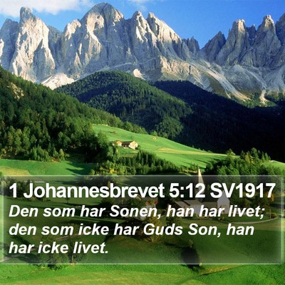 1 Johannesbrevet 5:12 SV1917 Bible Verse Image