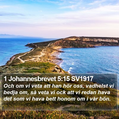 1 Johannesbrevet 5:15 SV1917 Bible Verse Image