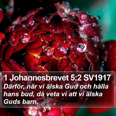 1 Johannesbrevet 5:2 SV1917 Bible Verse Image