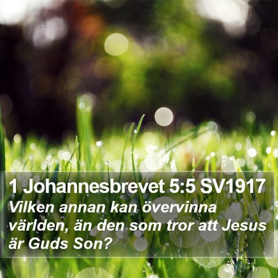 1 Johannesbrevet 5:5 SV1917 Bible Verse Image