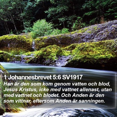 1 Johannesbrevet 5:6 SV1917 Bible Verse Image