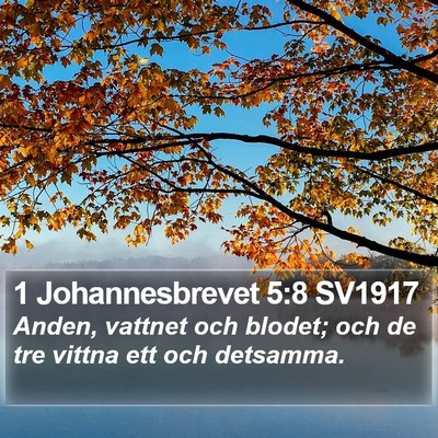 1 Johannesbrevet 5:8 SV1917 Bible Verse Image