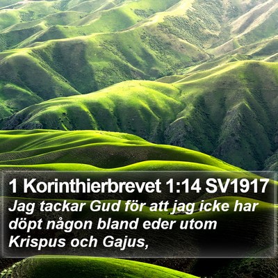 1 Korinthierbrevet 1:14 SV1917 Bible Verse Image