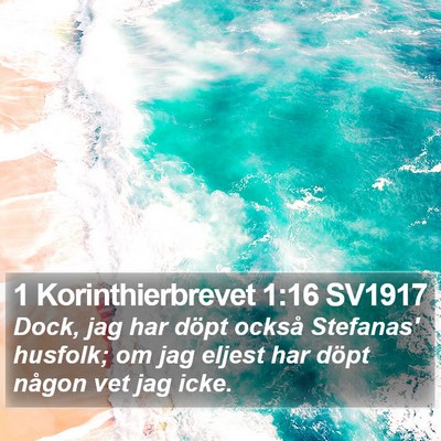 1 Korinthierbrevet 1:16 SV1917 Bible Verse Image