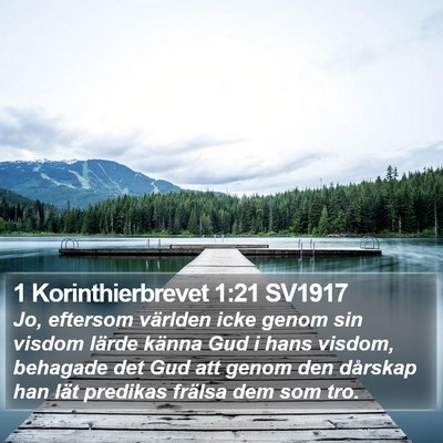 1 Korinthierbrevet 1:21 SV1917 Bible Verse Image