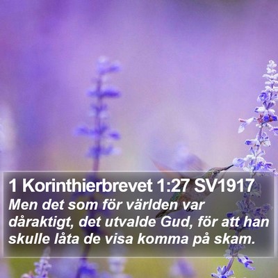 1 Korinthierbrevet 1:27 SV1917 Bible Verse Image