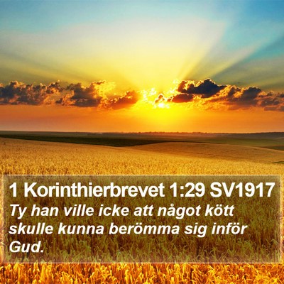 1 Korinthierbrevet 1:29 SV1917 Bible Verse Image
