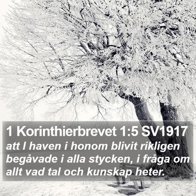 1 Korinthierbrevet 1:5 SV1917 Bible Verse Image