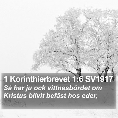 1 Korinthierbrevet 1:6 SV1917 Bible Verse Image