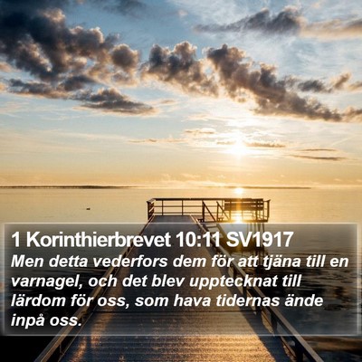 1 Korinthierbrevet 10:11 SV1917 Bible Verse Image