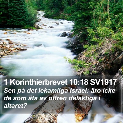 1 Korinthierbrevet 10:18 SV1917 Bible Verse Image