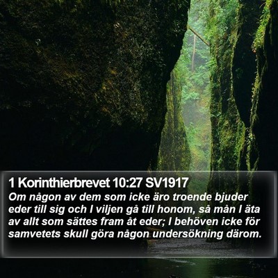 1 Korinthierbrevet 10:27 SV1917 Bible Verse Image