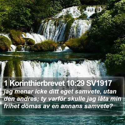 1 Korinthierbrevet 10:29 SV1917 Bible Verse Image