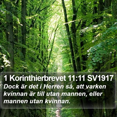 1 Korinthierbrevet 11:11 SV1917 Bible Verse Image