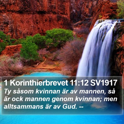 1 Korinthierbrevet 11:12 SV1917 Bible Verse Image