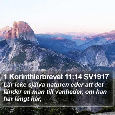 1 Korinthierbrevet 11:14 SV1917 Bible Verse Image