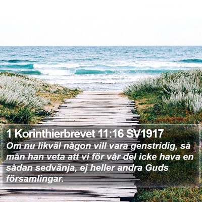 1 Korinthierbrevet 11:16 SV1917 Bible Verse Image