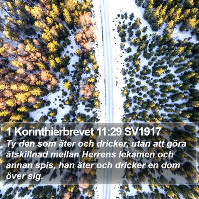 1 Korinthierbrevet 11:29 SV1917 Bible Verse Image